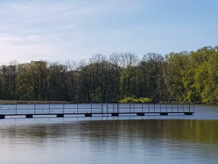Pension Waldbad Dommitzsch Kültér fotó