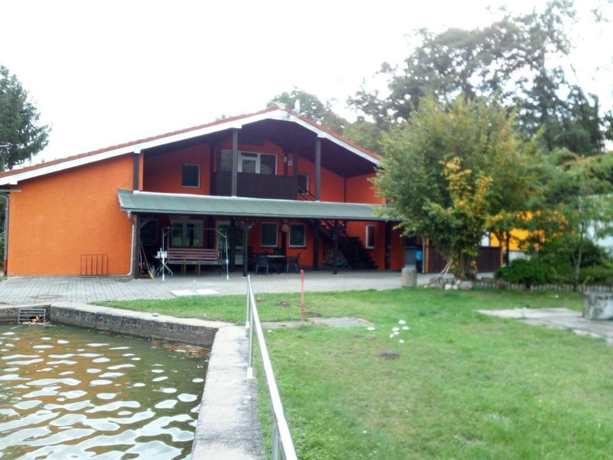 Pension Waldbad Dommitzsch Kültér fotó